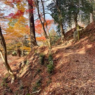 飯盛山山頂までも紅葉を愛でながら歩けます🍁