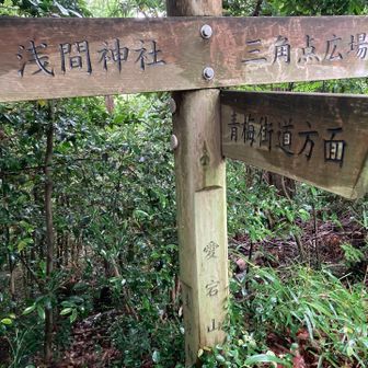 愛宕山登頂、歩いたら過ぎでました。