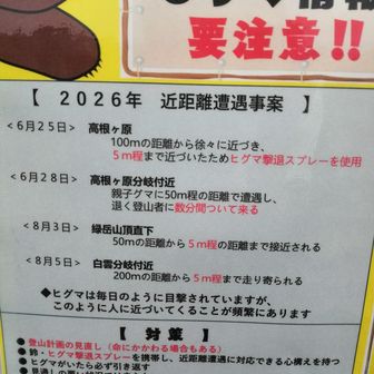 5mの距離って本当？😱