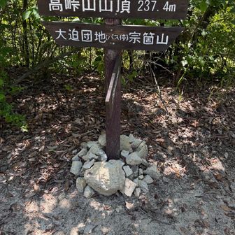 ひかり