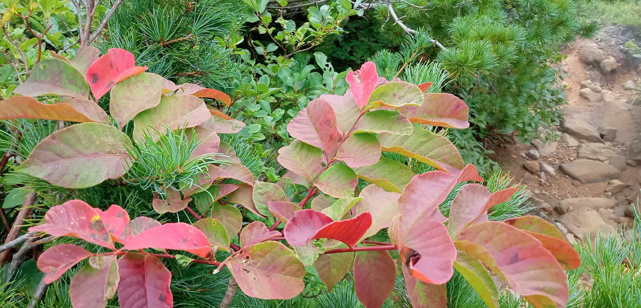 秋の気配🍁