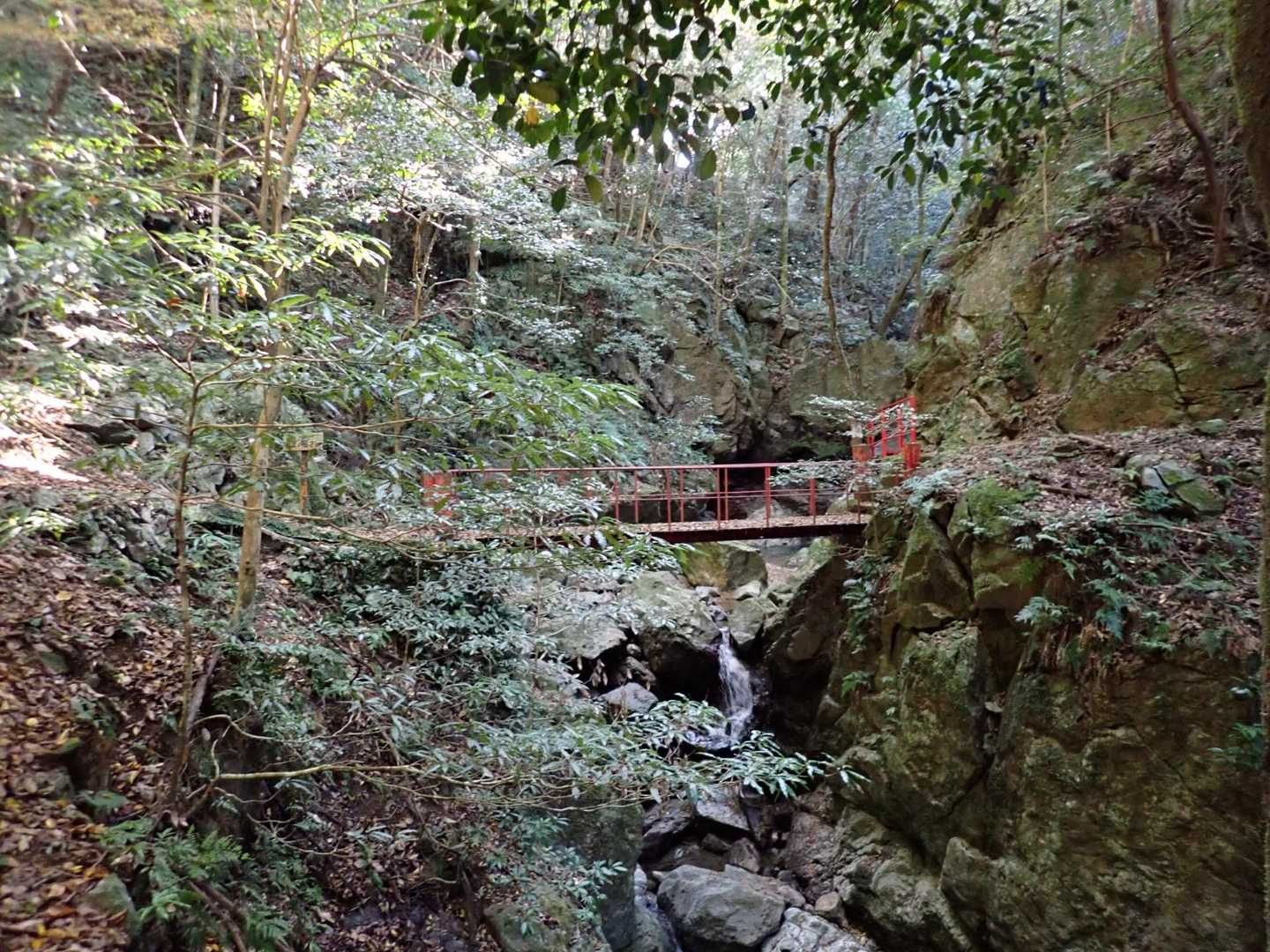 豊ヶ岳 周回コースの写真