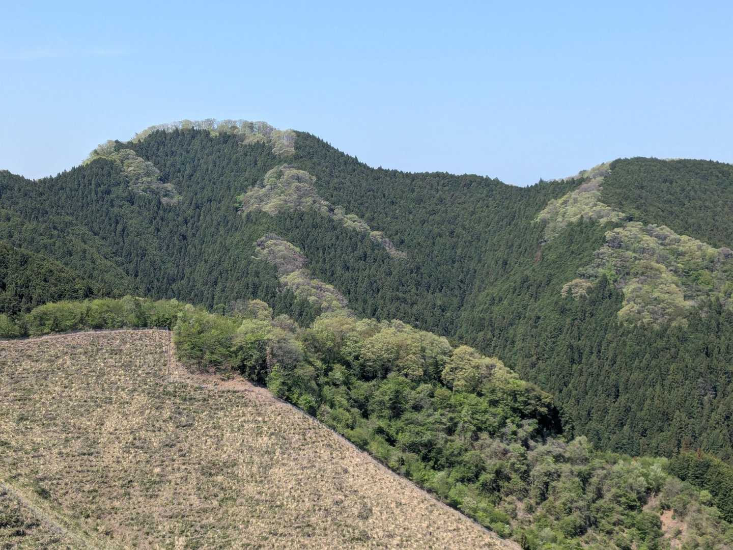振り返って岩茸石山。