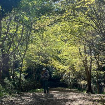 川沿いを歩く
おっ山