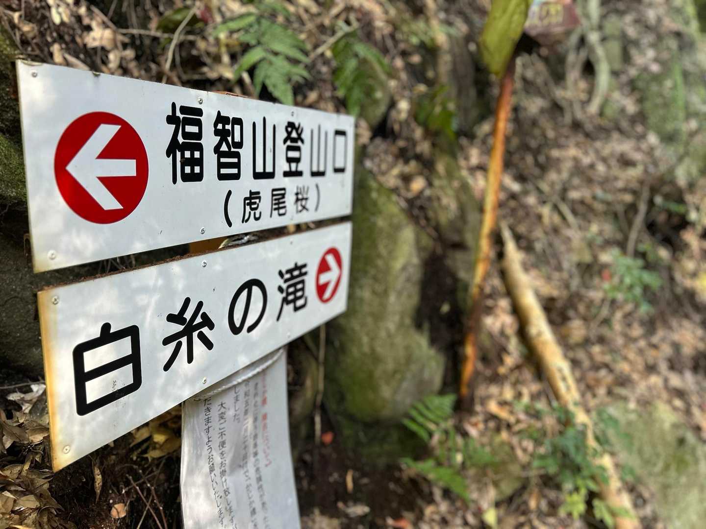 白糸の滝から向かいます