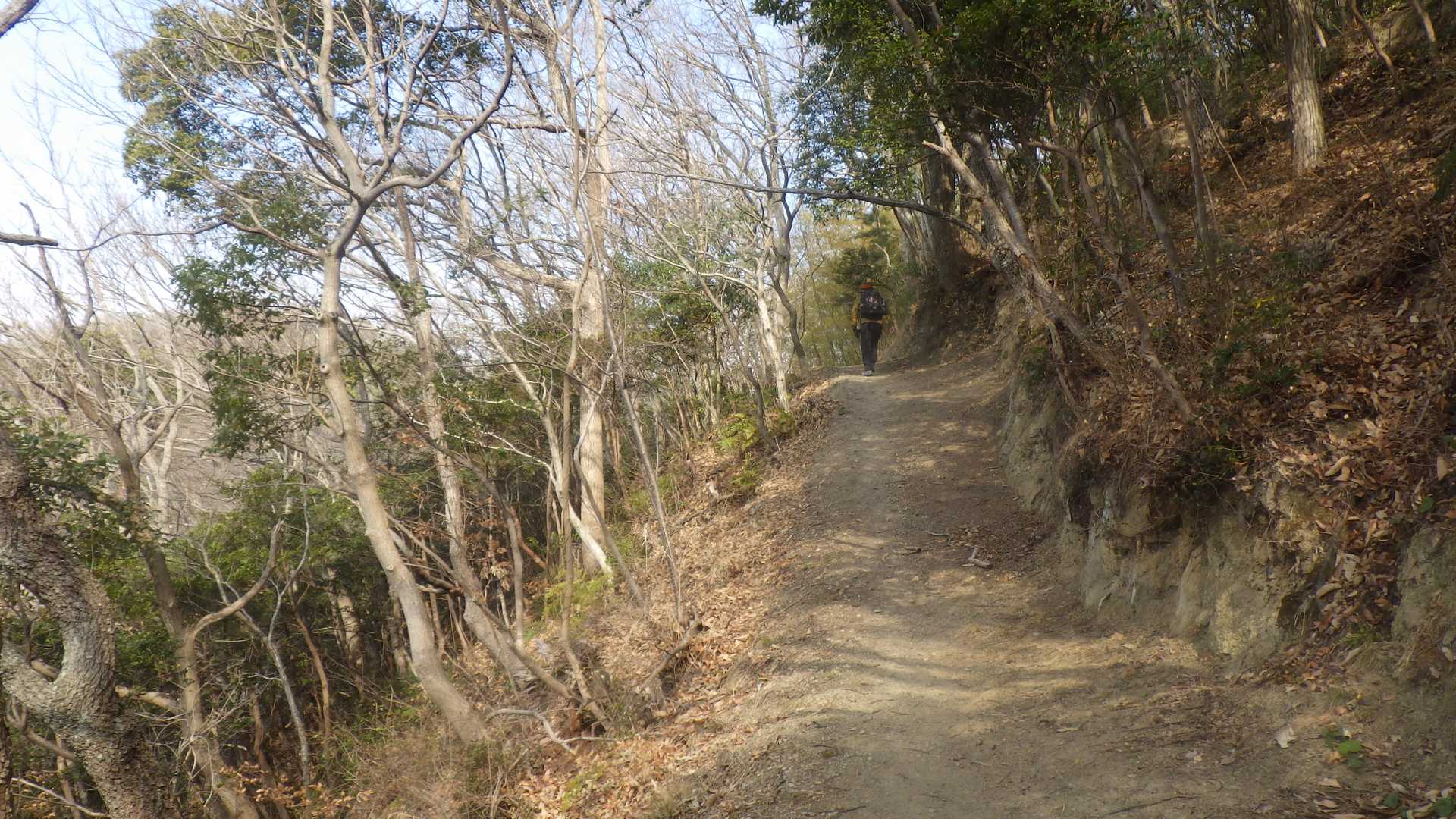 大山峠-奥山-大山-青影山 周回コースの写真