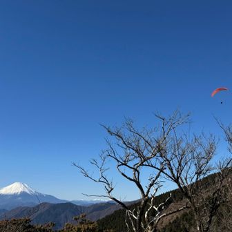 パラグライダーが飛び出す