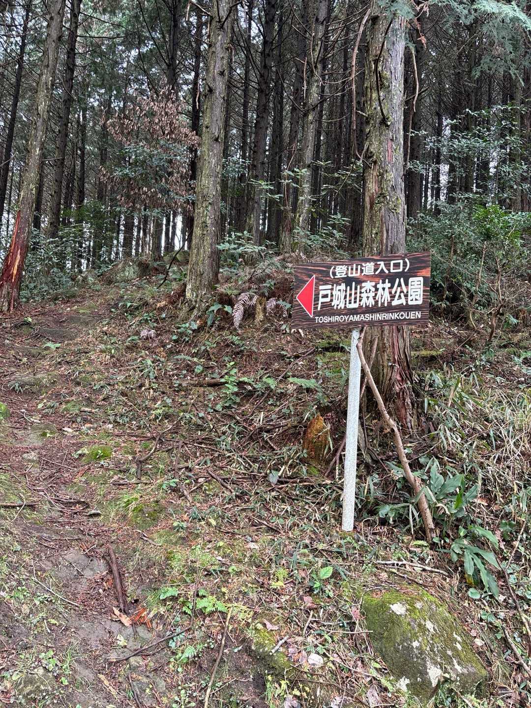 戸城山 往復コースの写真