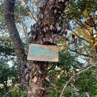 砥神山、山頂です😉