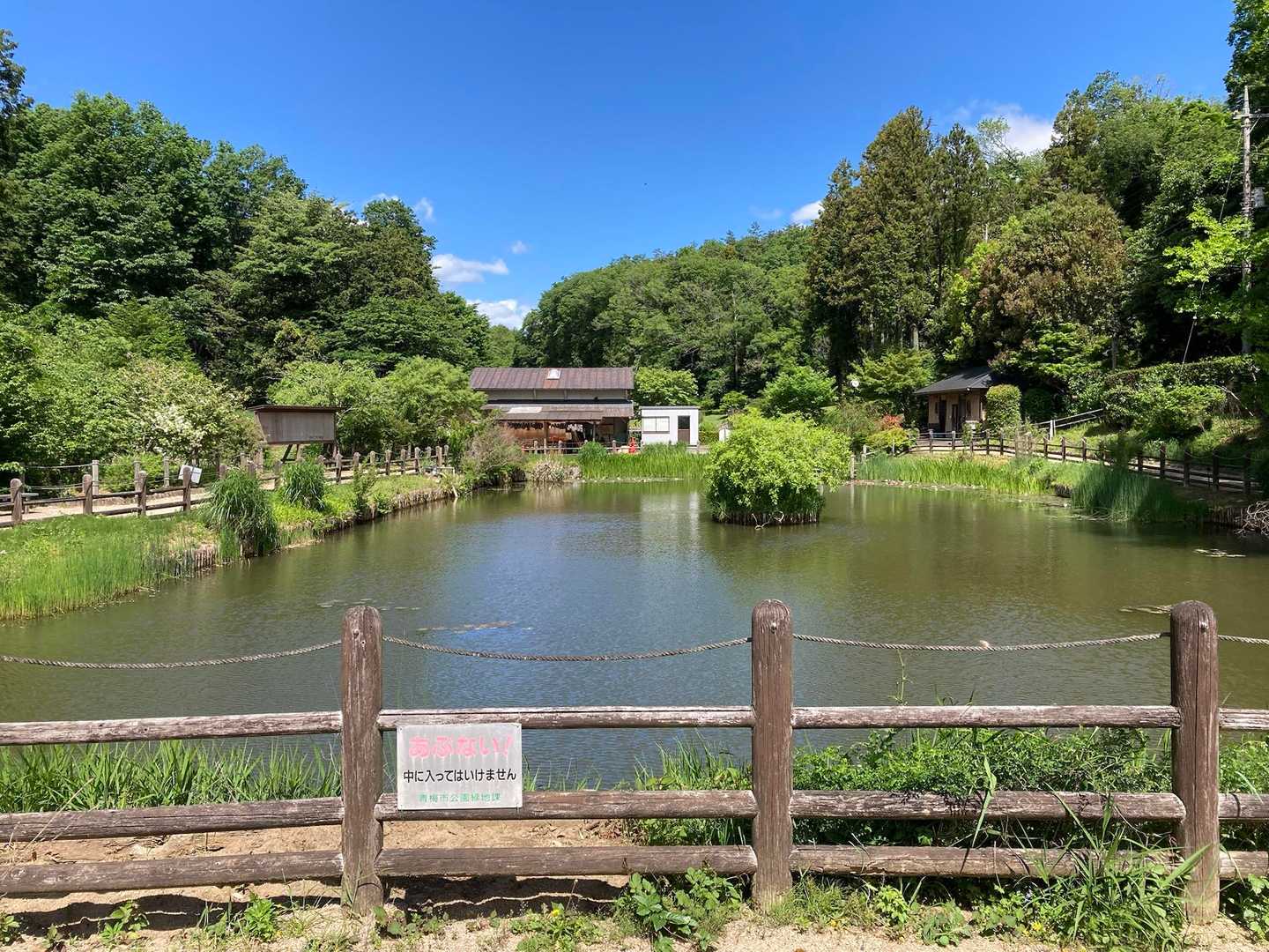 柵の外から。この奥の方に、菖蒲が咲くらしい
