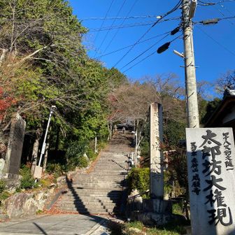 本殿まで742段あるという階段を登って行きます😬💦🥾