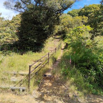 第二展望台に向かいます。