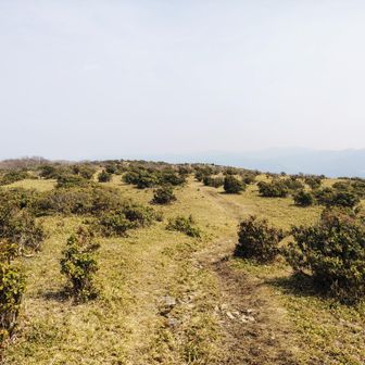 稜線を戻ります➡️