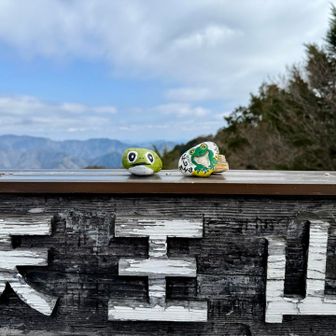 🐸カワイイ〜💖