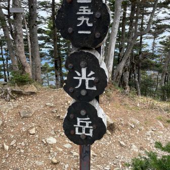 小屋から山頂まではあっという間。
で、無事に山頂到着。
ここ3回の山行は偶然にも山頂の展望がきかない山でした。
ただ、ここはちょっと歩くと展望地があります。