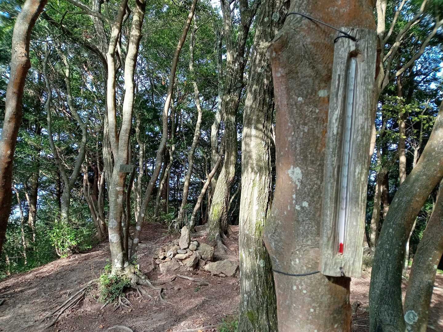 山頂の様子