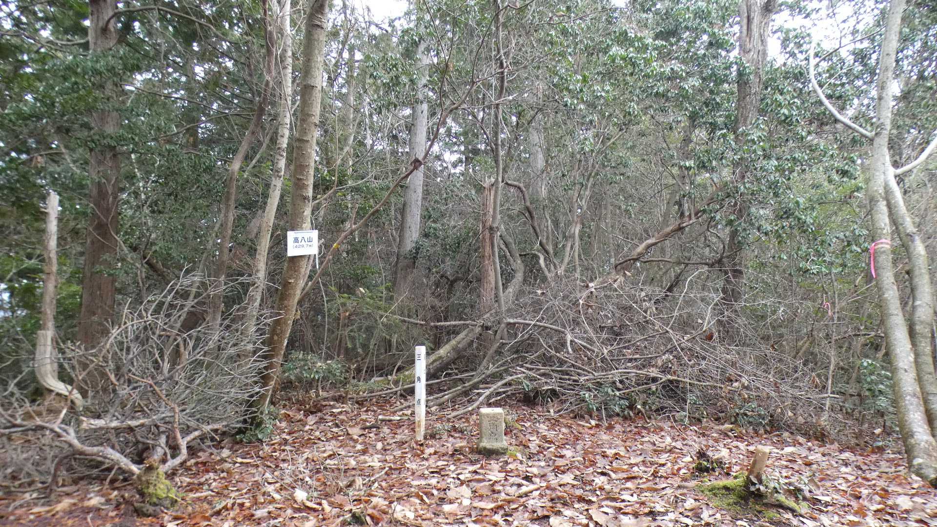 山頂に到達。
四等三角点
基準点名：高八山（たかはちやま）
点の記のアプローチを見ると、南東の「花みどり公園」からのルートがあるようです。

そちらの様子はわかりませんが、登ってきた道のり、すごく楽しかった💛

あさきた里山マスターズPart1対象の山。やっぱり楽ではない山のエントリーが多い。