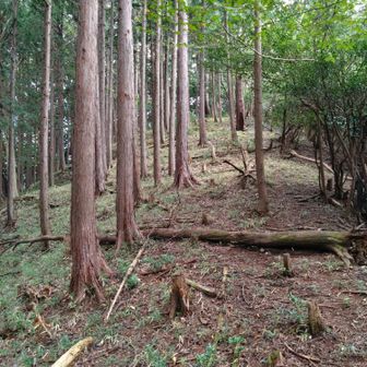 雨乞山直下