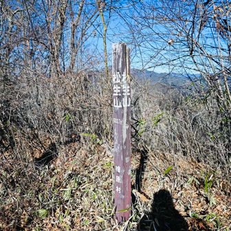 松生山に到着