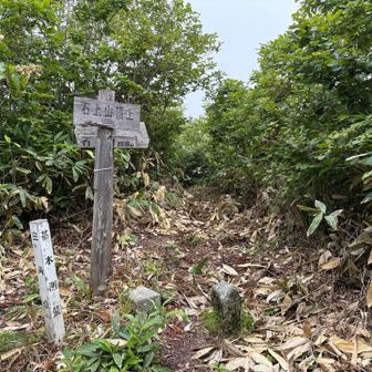 石上山。
笹がきれいに刈りはらわれています。
ありがとうございます。