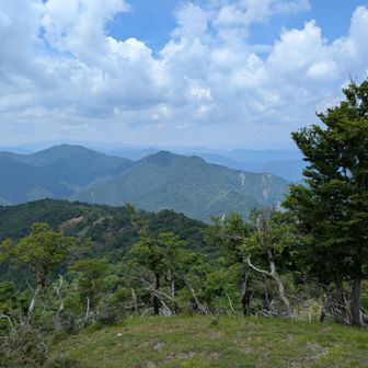 雲早山山頂より。