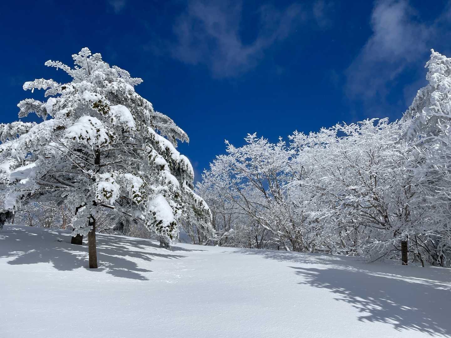 南沢山登山道入口-南沢山 往復コースの写真