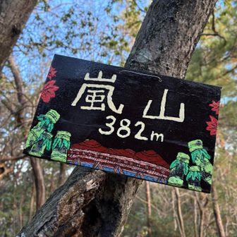 とてもお上手です👏
嵐山に嵐山という山があること知らなかった🙄