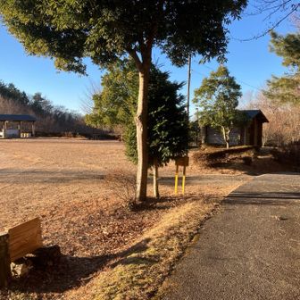 ここにトイレあります