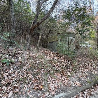 雨山への入口
登山道への入口はどこも標識がなくて少し分かりづらかった