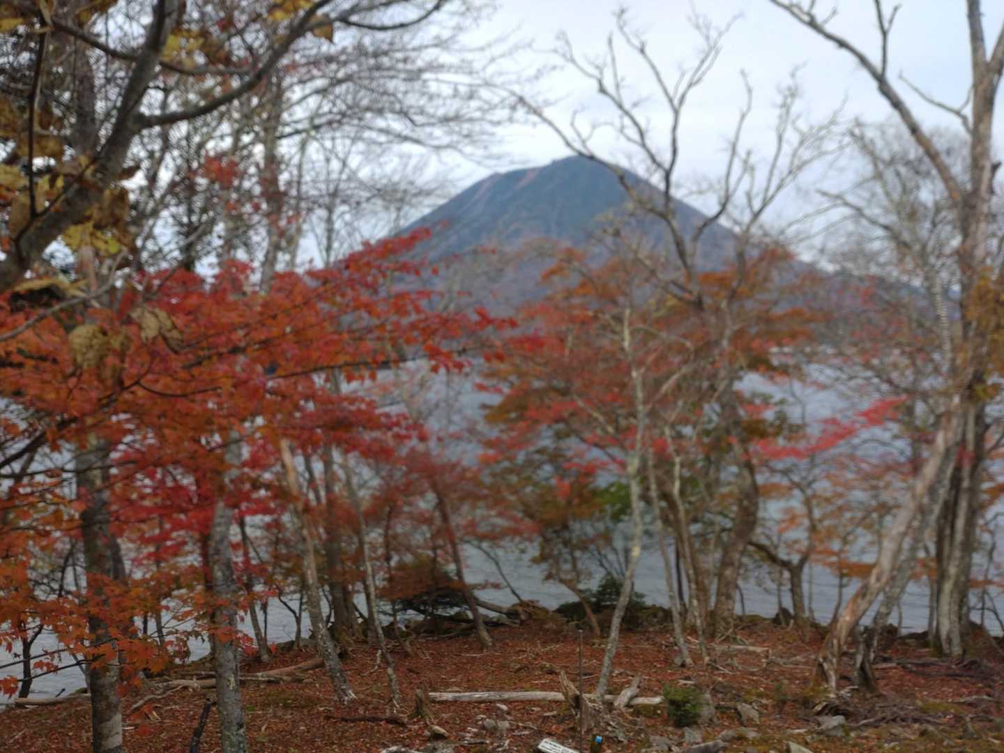下山後、紅葉と男体山