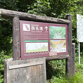 車で、10分くらい移動して「苗名滝」へ