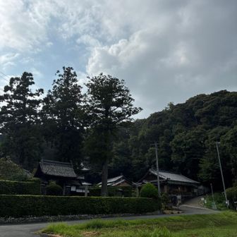 雨上がりにスタート。