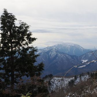 伊吹山が見えて来ました