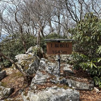 上福根山ですが 写真だけ撮り さっさと撤退