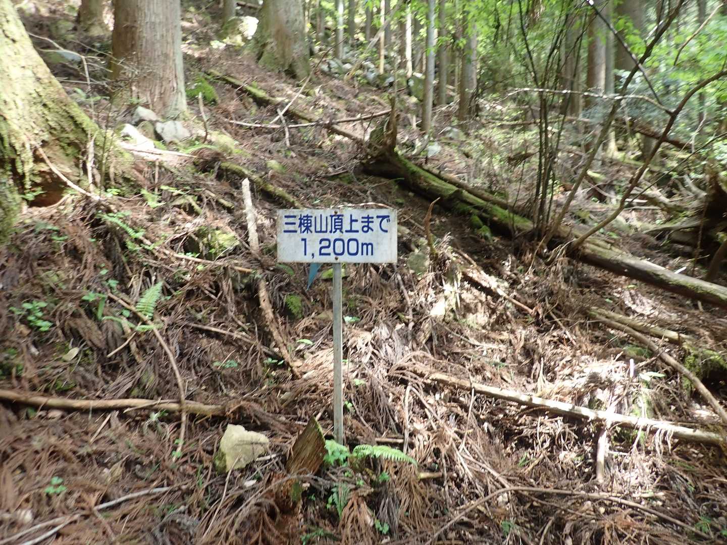 300ｍおきに看板あり