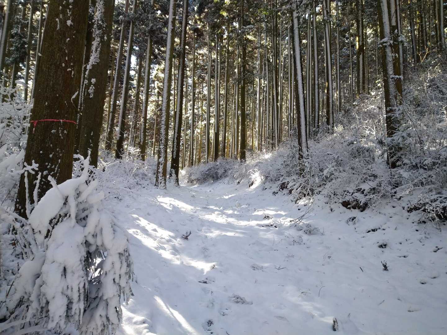 指先が冷たいと言うか痛い😂