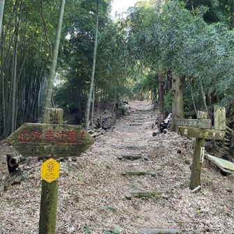 さぁ〜て…戻ります(登ります)😅