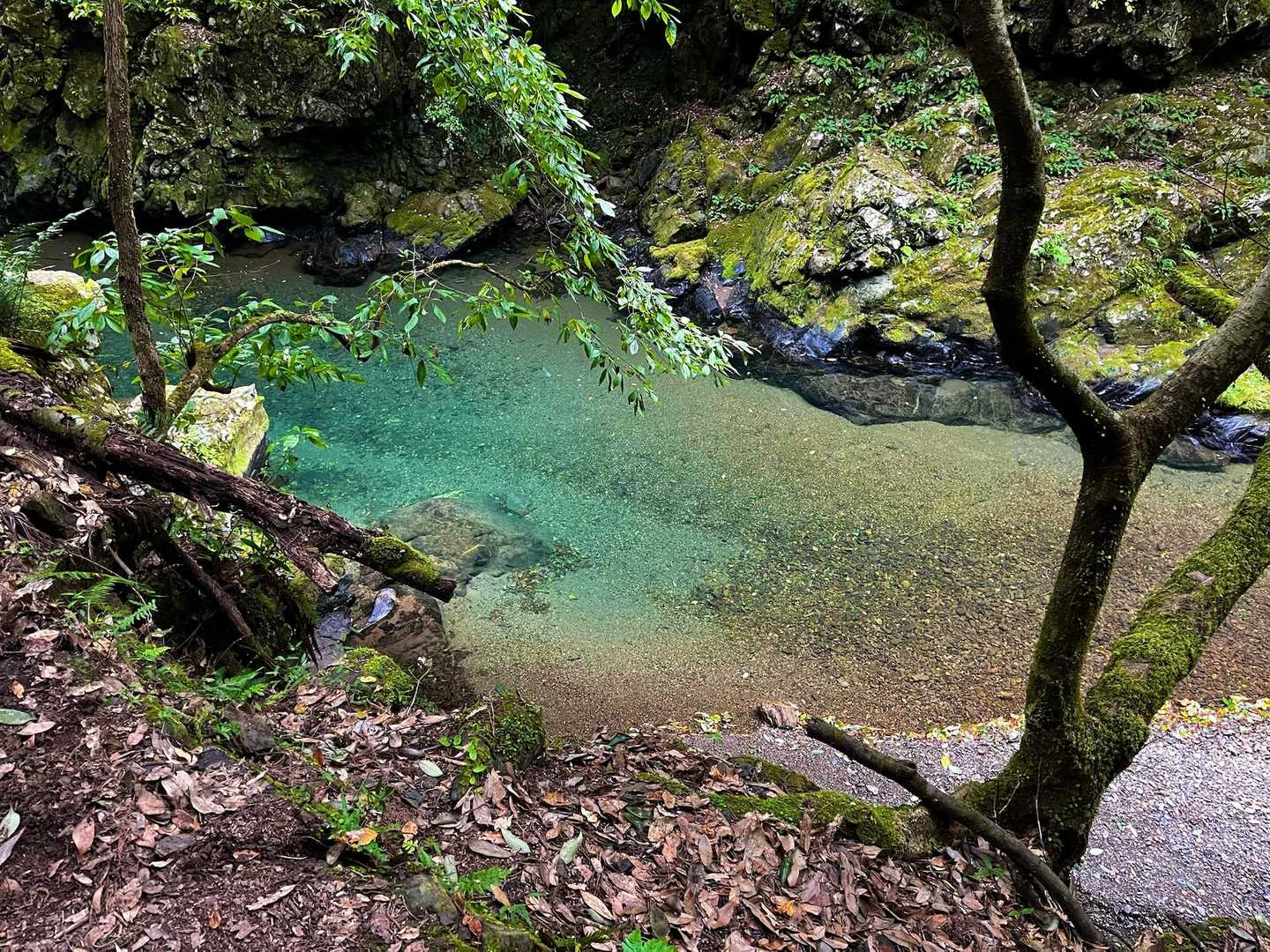 荒神峠-愛宕山-月輪寺-清滝バス停 縦走コースの写真