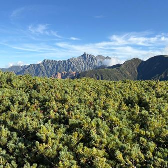 やっと⛰️会えた…😭