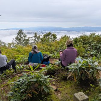 今回ご同行頂いた方々
