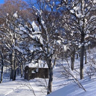 保久礼小屋の雪はこんなもん