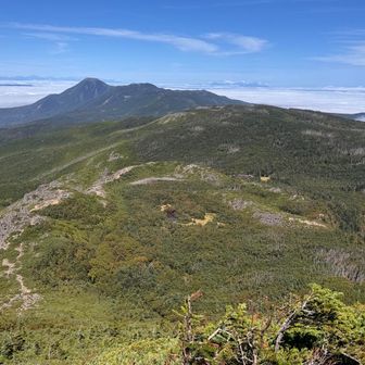 黒百合平。奥には蓼科山