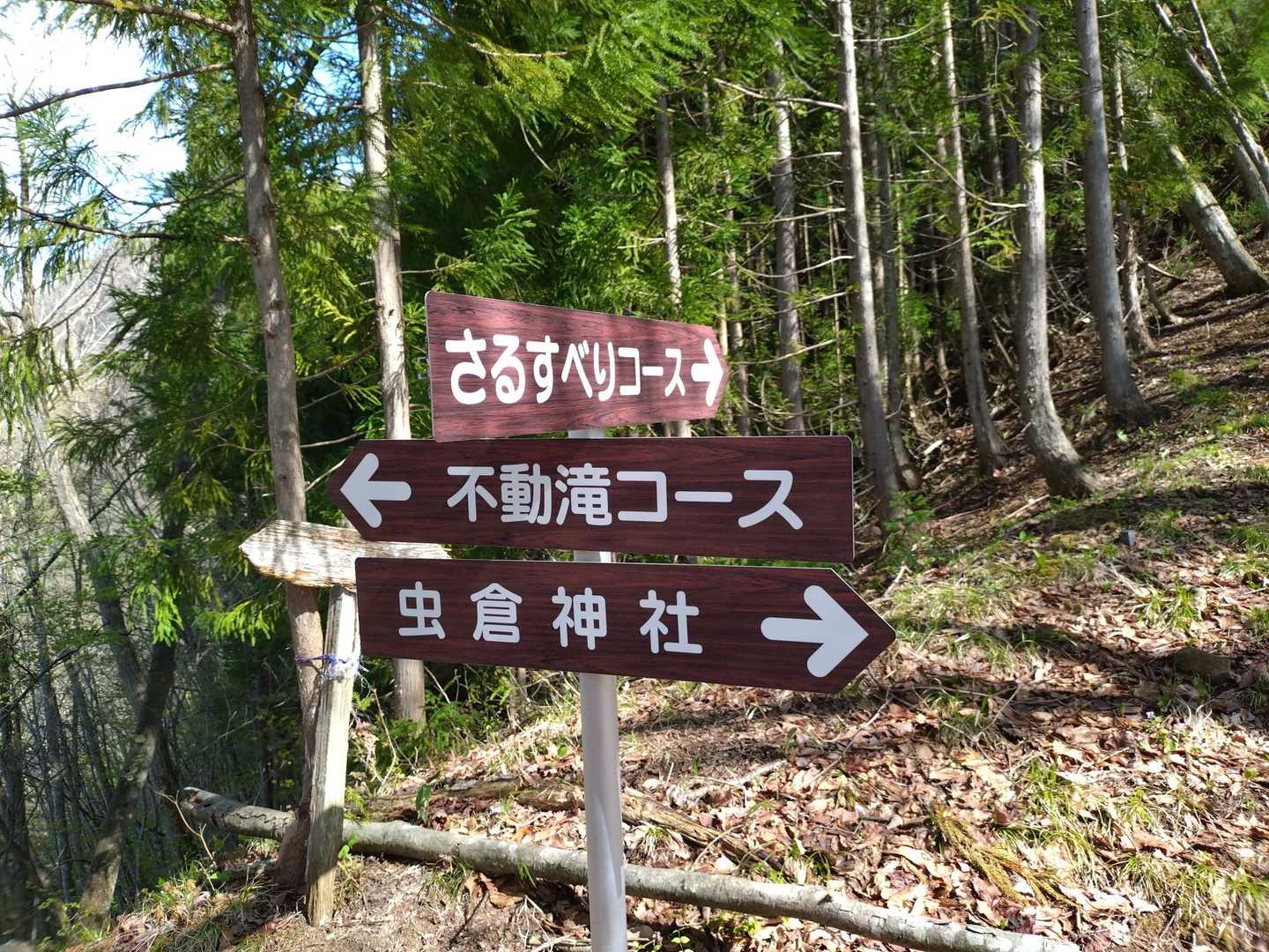 不動滝口脇の駐車場に停めて、奥に進むとサルスベリコースとの分岐
