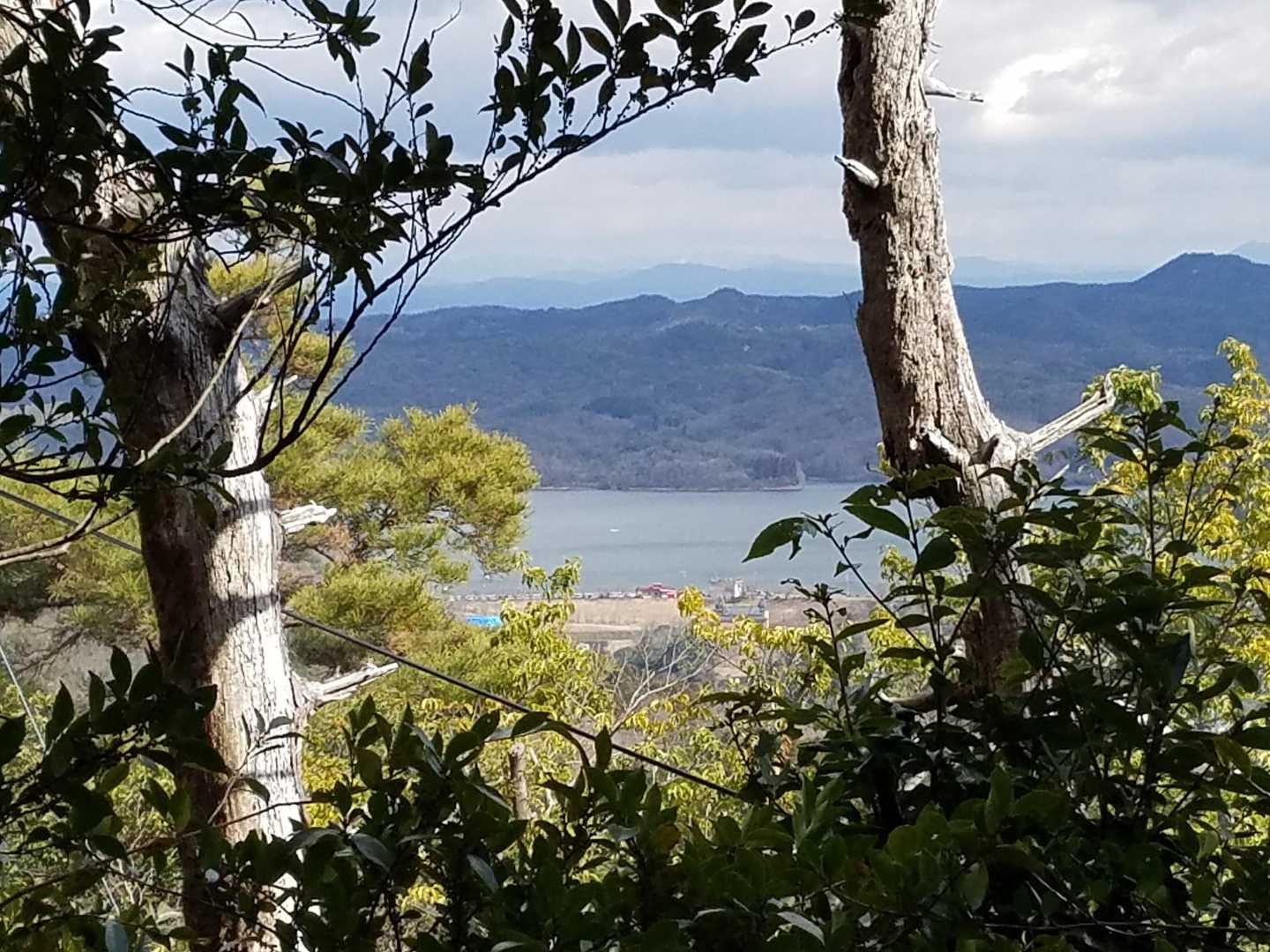 入鹿池も見えました✨