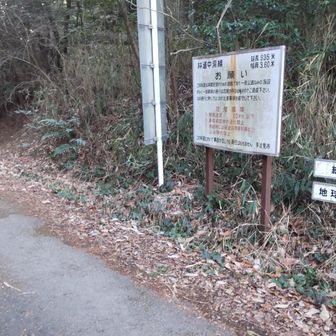 桧峠
道樹山はパスして林道から帰ります