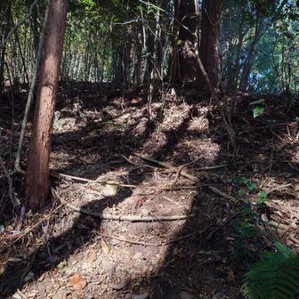 千手尾根より厳しそうな予感😅