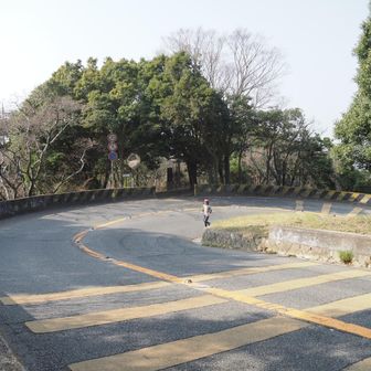 六甲山らしい？ヘアピンカーブの道路に出て、また直ぐに山に入ると市章山です。😂