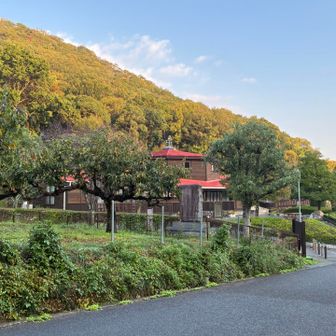 操山里山センター　　周辺の紅葉🍁もう少し