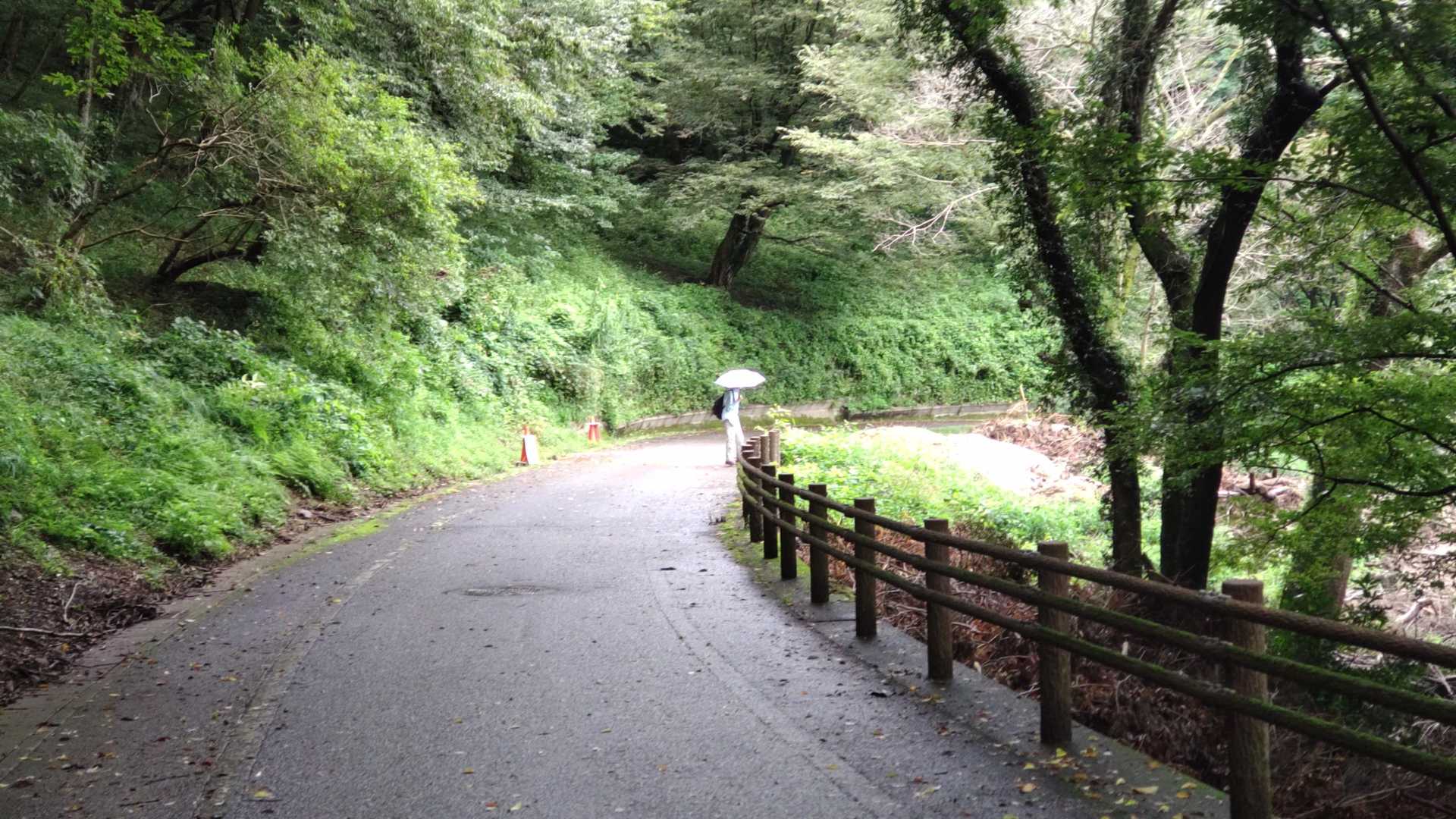 山頂中継広場 周回コースの写真