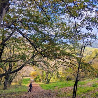 坂道の奥は秋色🍂✴️